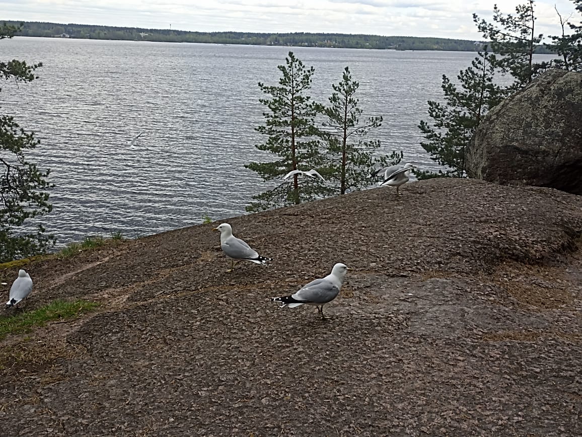 https://forumupload.ru/uploads/0001/d0/60/4965/336379.jpg