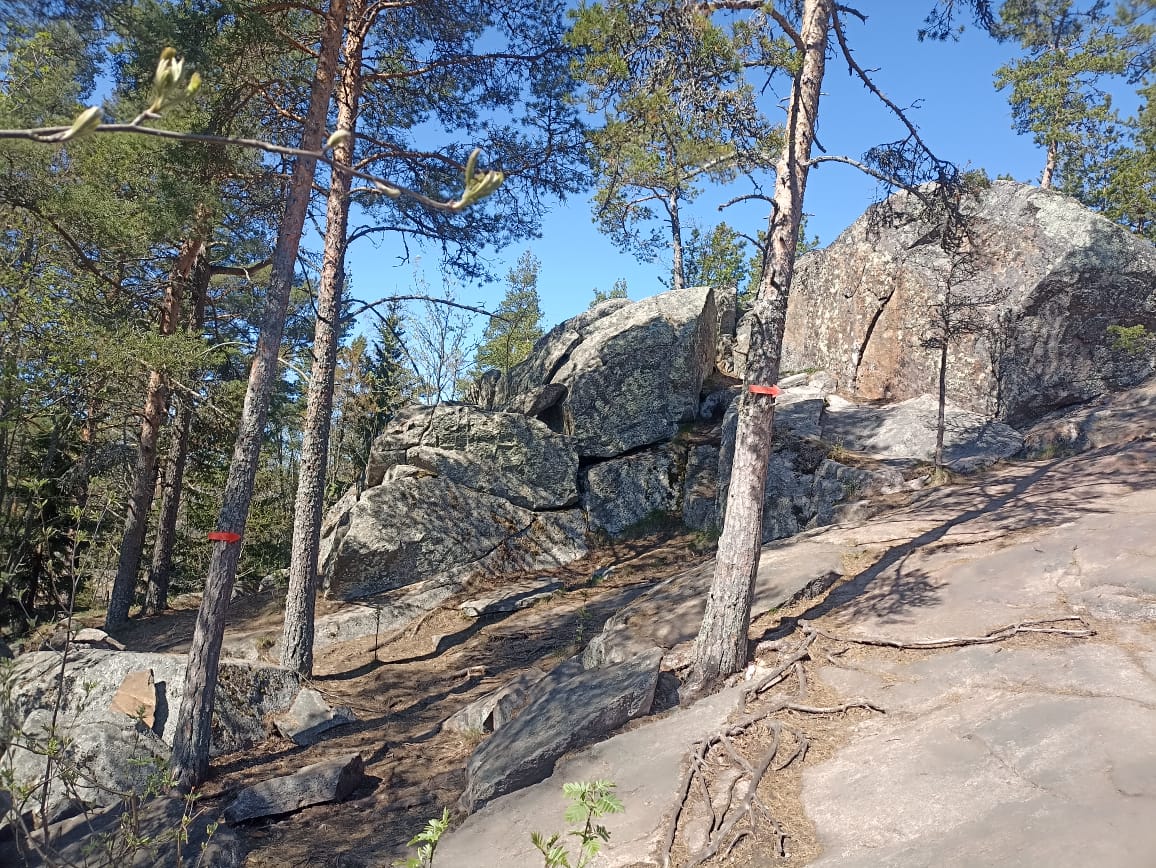 https://forumupload.ru/uploads/0001/d0/60/4965/354671.jpg