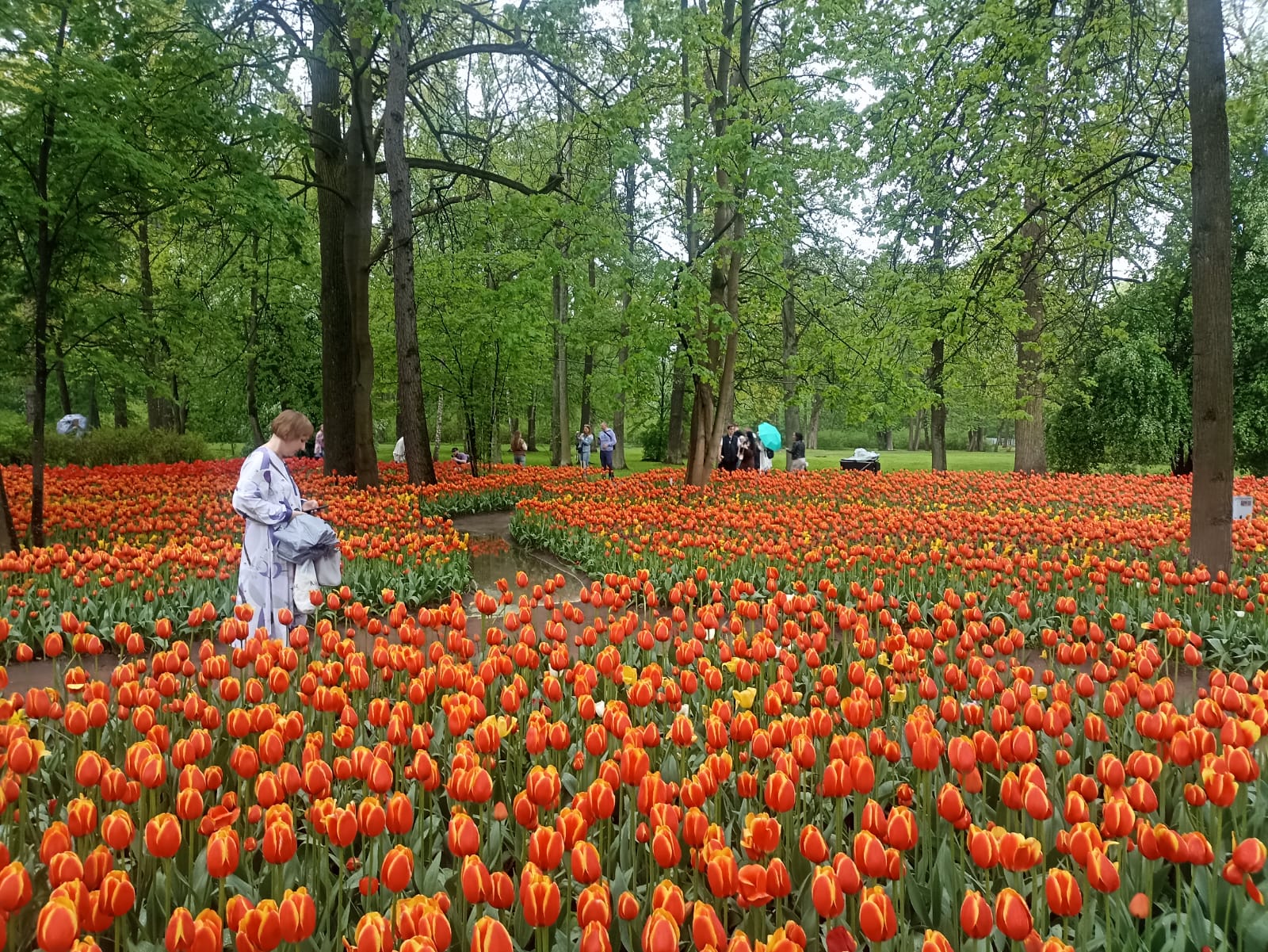 https://forumupload.ru/uploads/0001/d0/60/4965/544341.jpg