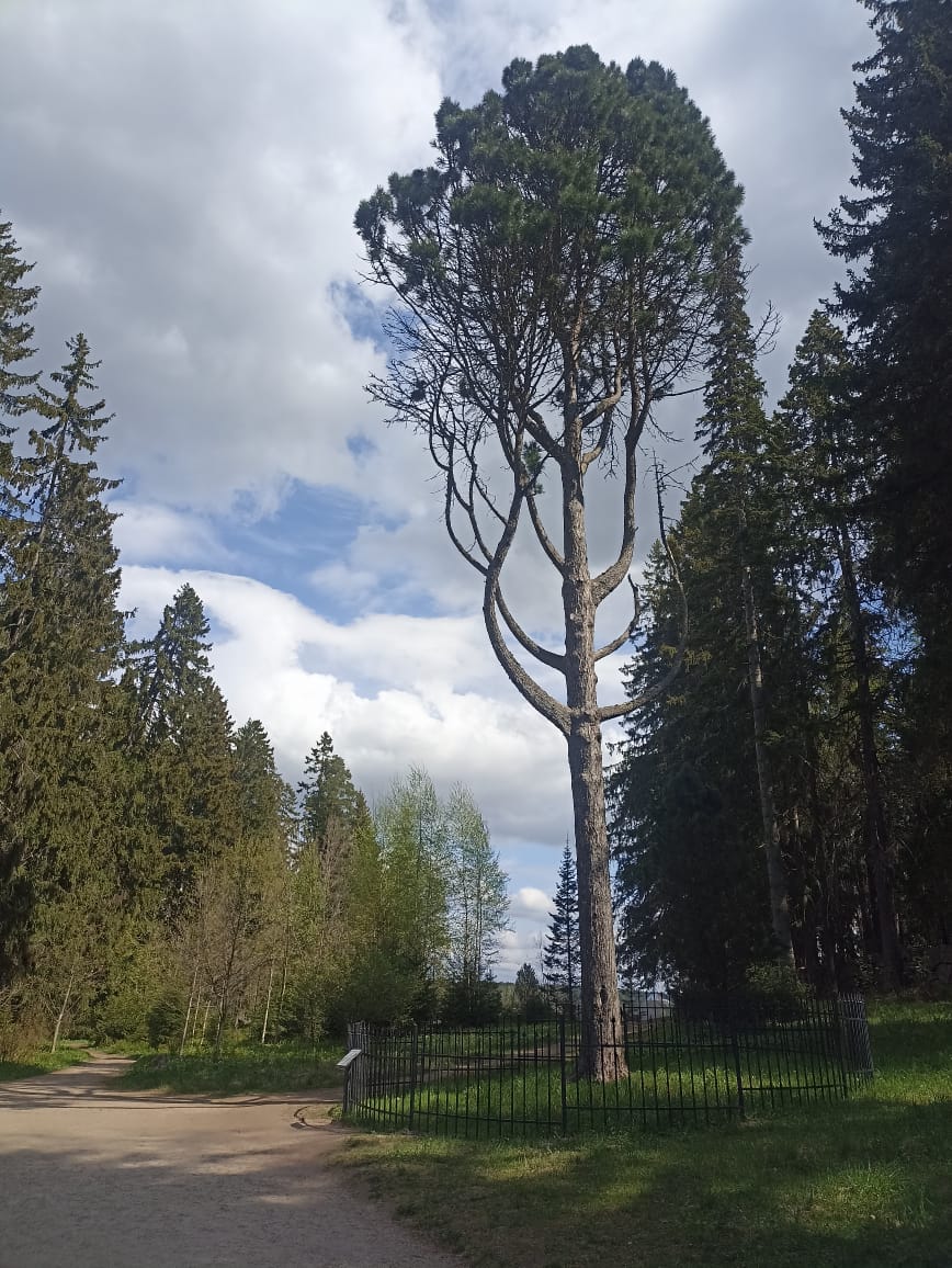 https://forumupload.ru/uploads/0001/d0/60/4965/740696.jpg