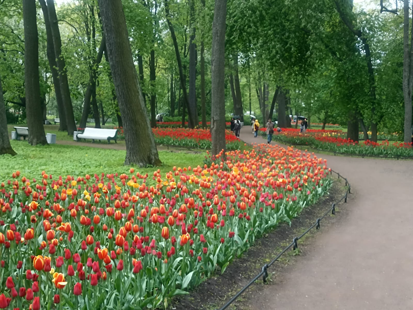https://forumupload.ru/uploads/0001/d0/60/4965/984589.jpg