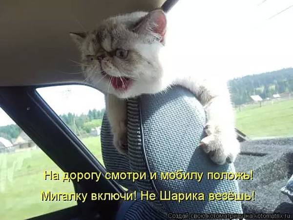 https://forumupload.ru/uploads/0004/02/e8/1734/t115886.jpg
