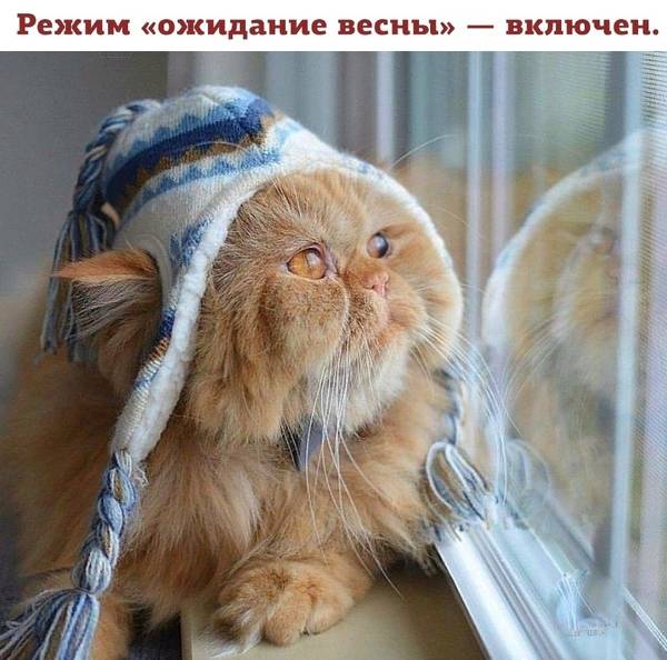https://forumupload.ru/uploads/0004/02/e8/1734/t13183.jpg