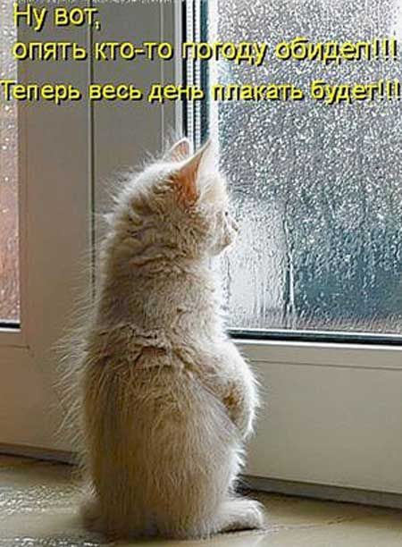 https://forumupload.ru/uploads/0004/02/e8/1734/t137062.jpg