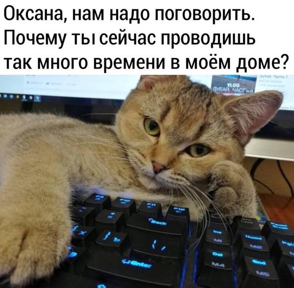 https://forumupload.ru/uploads/0004/02/e8/1734/t151710.jpg