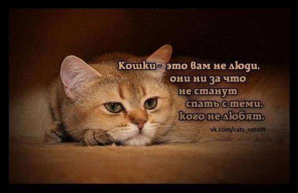 https://forumupload.ru/uploads/0004/02/e8/1734/t179492.jpg
