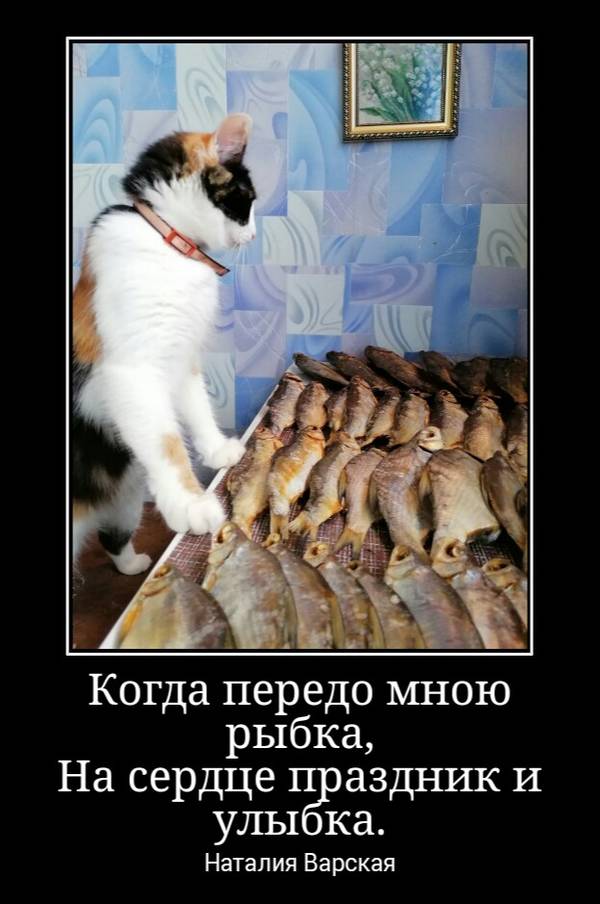 https://forumupload.ru/uploads/0004/02/e8/1734/t212420.jpg