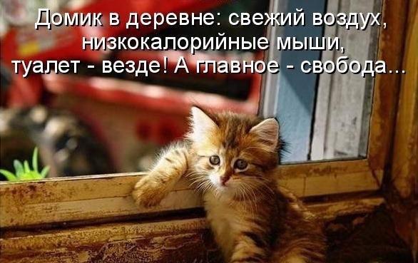 https://forumupload.ru/uploads/0004/02/e8/1734/t261770.jpg