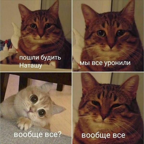 https://forumupload.ru/uploads/0004/02/e8/1734/t285016.jpg