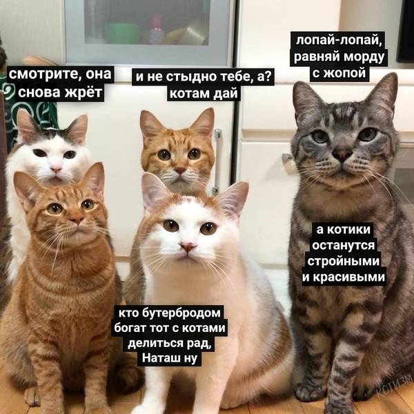 https://forumupload.ru/uploads/0004/02/e8/1734/t336624.jpg