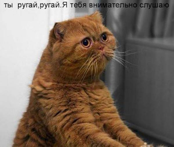 https://forumupload.ru/uploads/0004/02/e8/1734/t378379.jpg