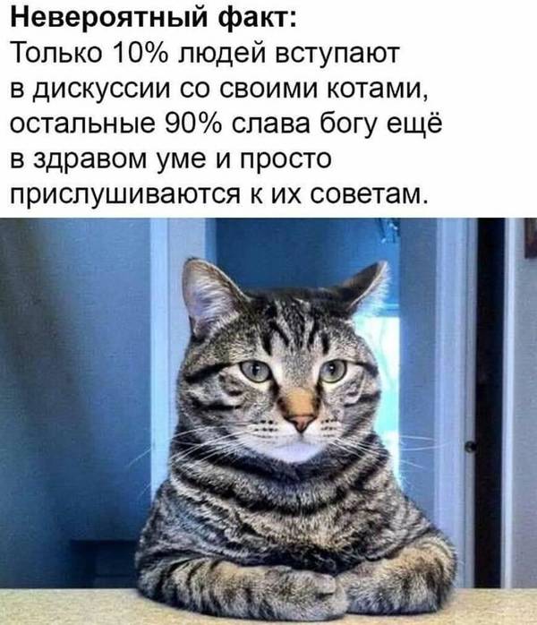 https://forumupload.ru/uploads/0004/02/e8/1734/t385789.jpg