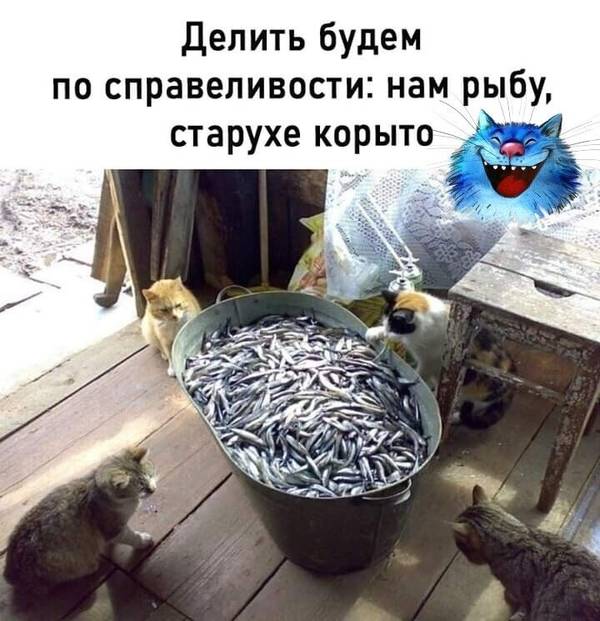 https://forumupload.ru/uploads/0004/02/e8/1734/t415419.jpg