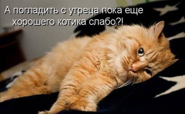 https://forumupload.ru/uploads/0004/02/e8/1734/t426386.jpg
