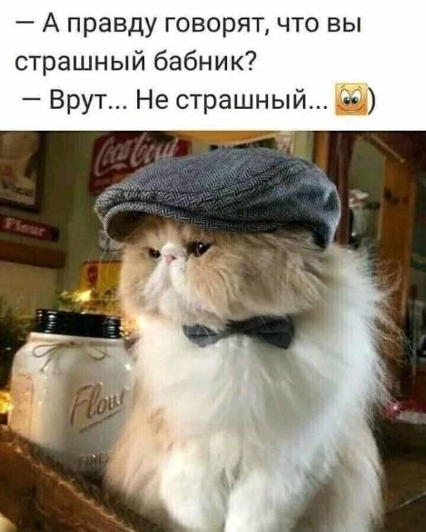 https://forumupload.ru/uploads/0004/02/e8/1734/t466255.jpg