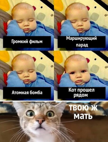 https://forumupload.ru/uploads/0004/02/e8/1734/t491959.jpg