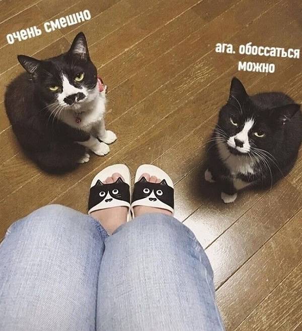 https://forumupload.ru/uploads/0004/02/e8/1734/t514898.jpg