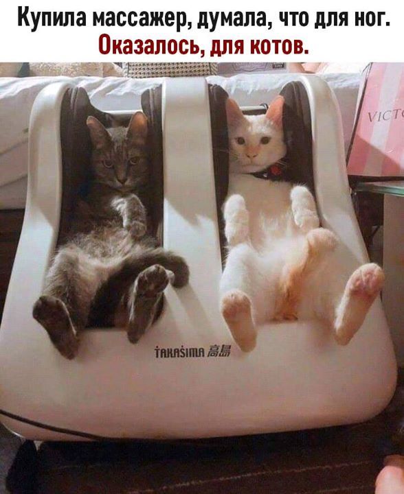 https://forumupload.ru/uploads/0004/02/e8/1734/t527192.jpg