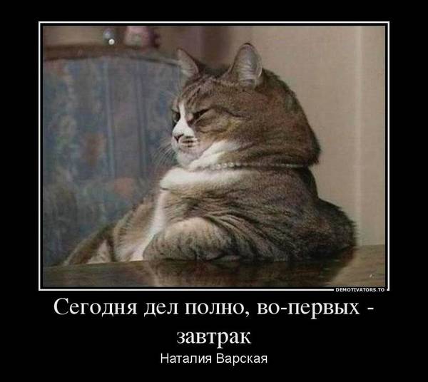 https://forumupload.ru/uploads/0004/02/e8/1734/t561164.jpg