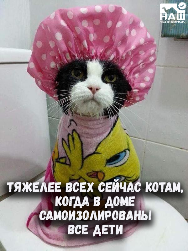 https://forumupload.ru/uploads/0004/02/e8/1734/t568907.jpg