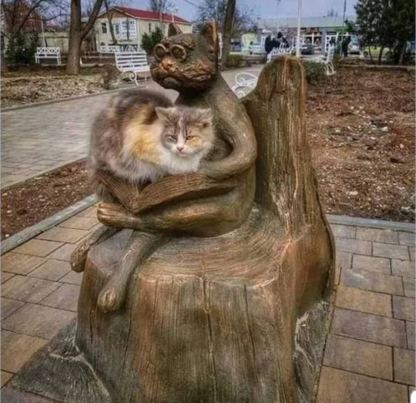 https://forumupload.ru/uploads/0004/02/e8/1734/t664055.jpg