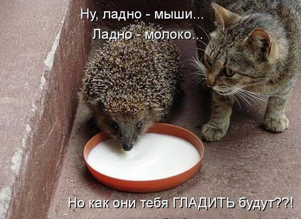 https://forumupload.ru/uploads/0004/02/e8/1734/t69741.jpg