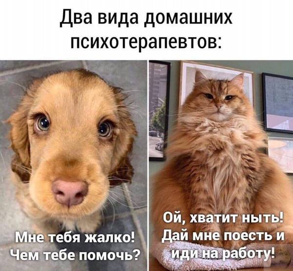 https://forumupload.ru/uploads/0004/02/e8/1734/t73343.jpg