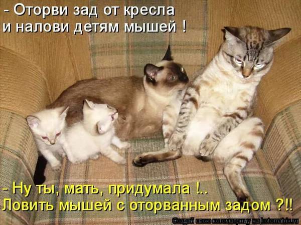 https://forumupload.ru/uploads/0004/02/e8/1734/t778164.jpg