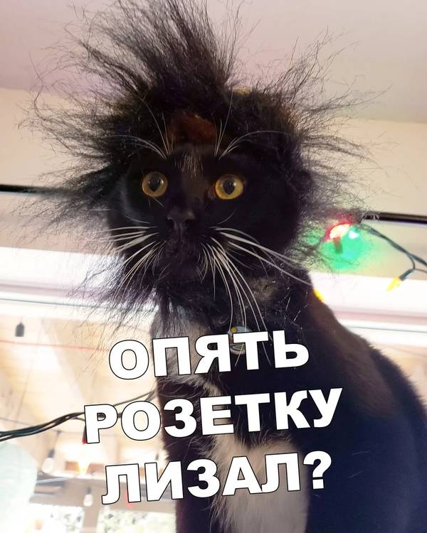 https://forumupload.ru/uploads/0004/02/e8/1734/t790417.jpg