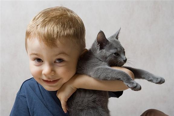 https://forumupload.ru/uploads/0004/02/e8/1734/t801057.jpg