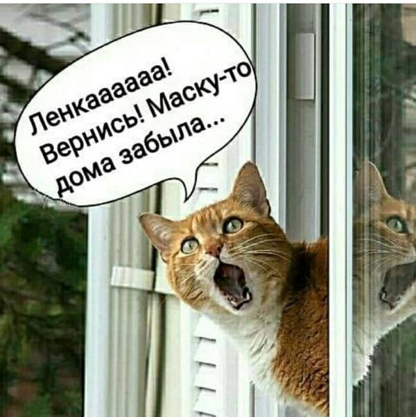 https://forumupload.ru/uploads/0004/02/e8/1734/t833626.jpg
