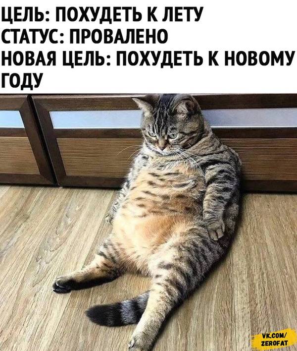 https://forumupload.ru/uploads/0004/02/e8/1734/t843273.jpg
