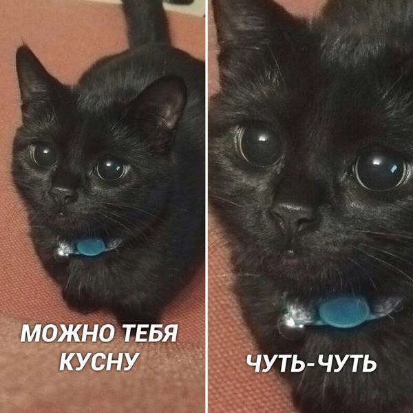 https://forumupload.ru/uploads/0004/02/e8/1734/t859185.jpg