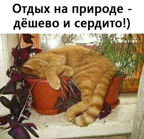 https://forumupload.ru/uploads/0004/02/e8/1734/t897437.jpg