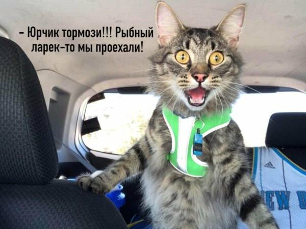 https://forumupload.ru/uploads/0004/02/e8/1734/t907439.jpg