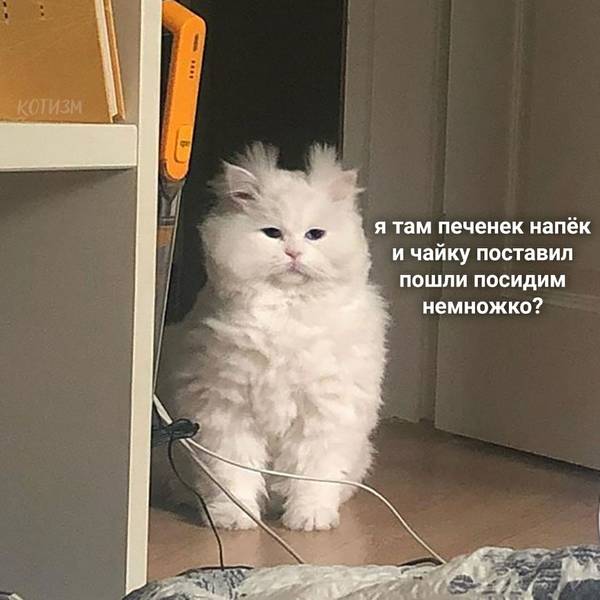 https://forumupload.ru/uploads/0004/02/e8/1734/t916829.jpg