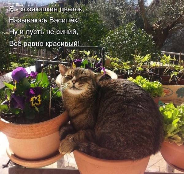 https://forumupload.ru/uploads/0004/02/e8/1734/t940315.jpg