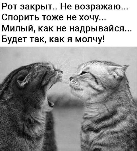 https://forumupload.ru/uploads/0004/02/e8/1734/t94720.jpg