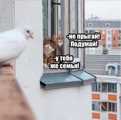 https://forumupload.ru/uploads/0004/02/e8/1734/t966143.jpg