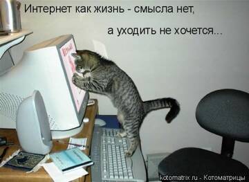 https://forumupload.ru/uploads/0004/02/e8/7248/t219845.jpg