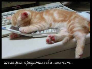 https://forumupload.ru/uploads/0004/02/e8/7248/t888371.jpg