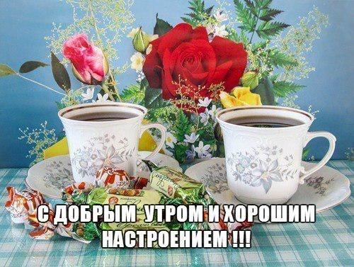 https://forumupload.ru/uploads/0004/02/e8/9402/342497.jpg