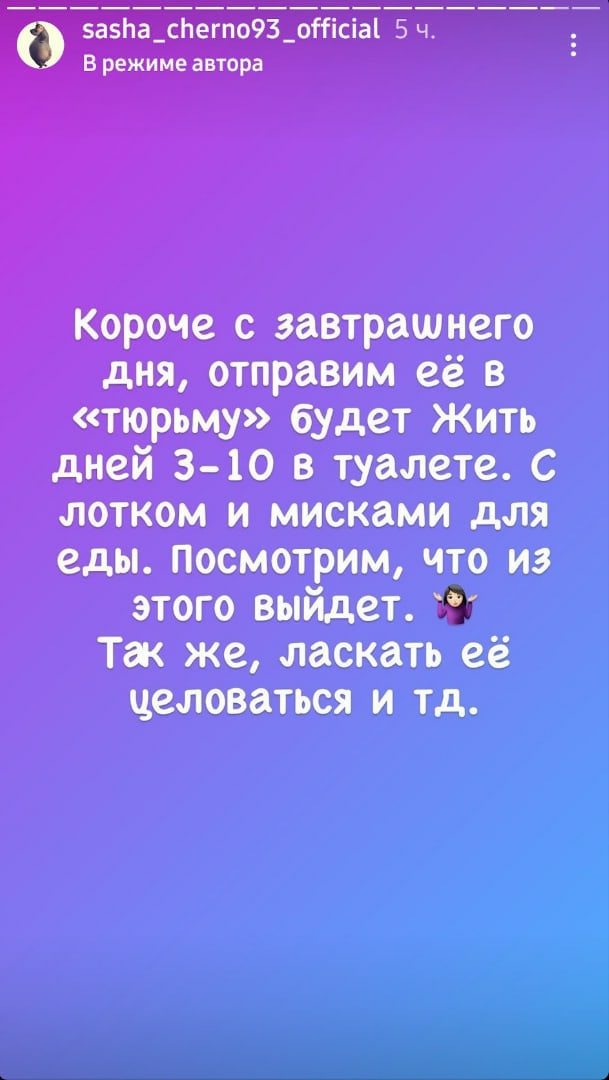 https://forumupload.ru/uploads/0004/02/e8/9402/364527.jpg