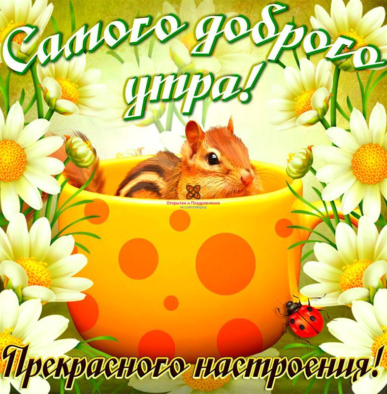 https://forumupload.ru/uploads/0004/02/e8/9402/370182.jpg