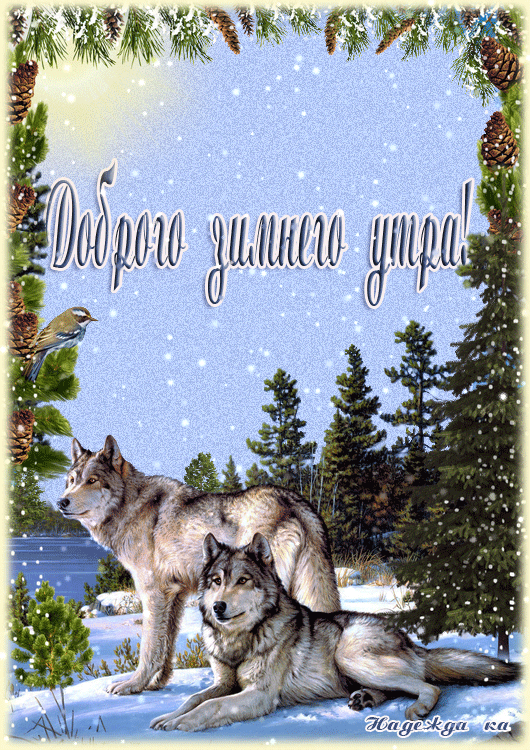 https://forumupload.ru/uploads/0004/02/e8/9402/580579.gif