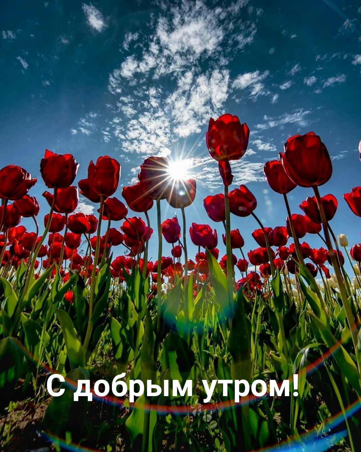 https://forumupload.ru/uploads/0004/02/e8/9402/764773.jpg