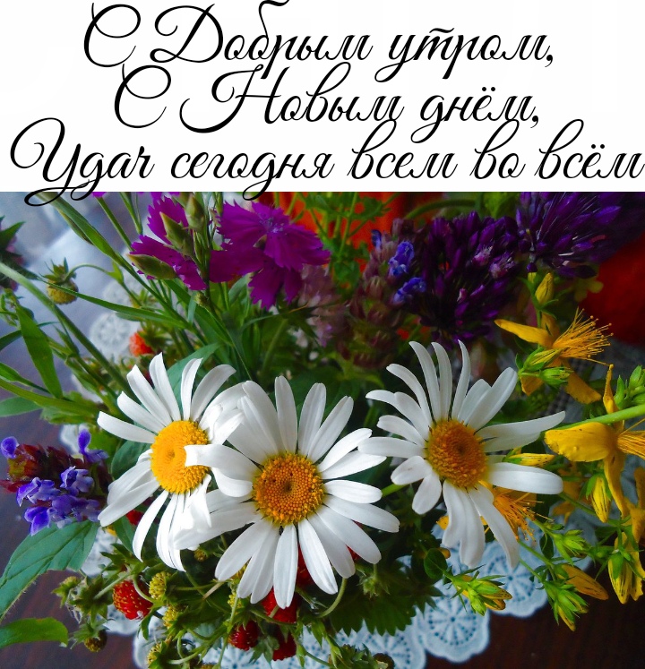 https://forumupload.ru/uploads/0004/02/e8/9402/867854.jpg