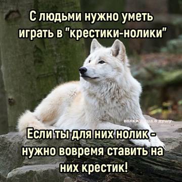 https://forumupload.ru/uploads/0004/27/45/2122/t382281.jpg