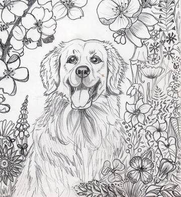 РИСУНКИ