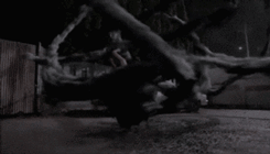 https://forumupload.ru/uploads/0004/e5/0c/2/313972.gif